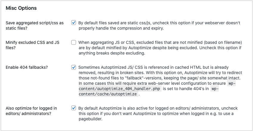 Misc options box provided by Autoptimize plugin.

There's a few checkboxes where we recommend uncheck "Minify excluded CSS and JS files" option.