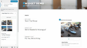 Image Widget Plus screenshot: Widget preview in Live Demo mode