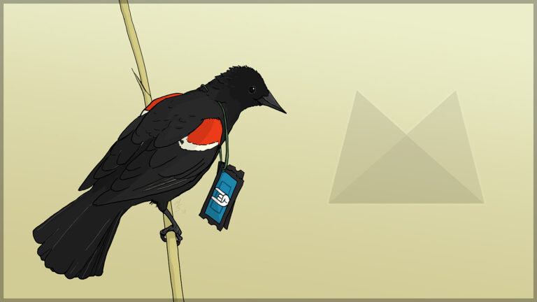 Event Tickets 4.8 and Event Tickets Plus 4.8