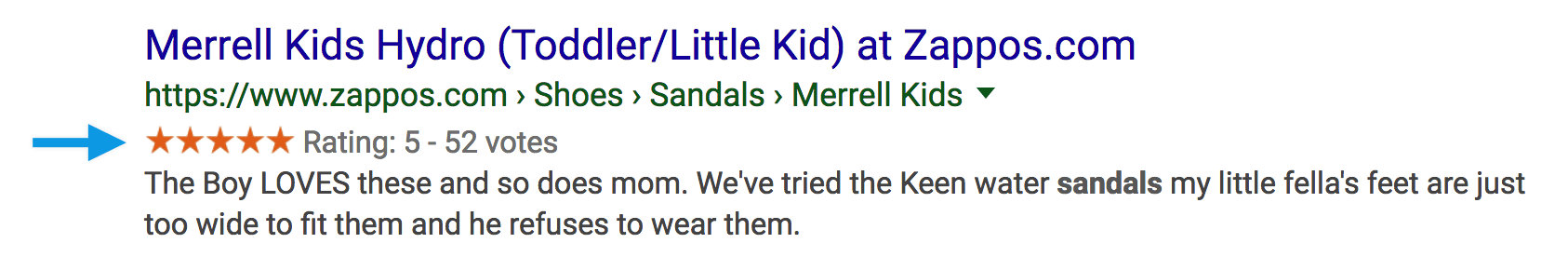 Screenshot of merrill rich snippet on the search engine results page