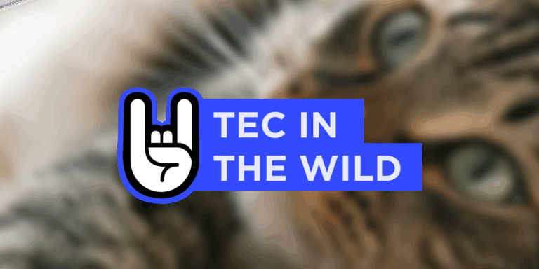 Featured Calendar: Golden Oldies Cat Rescue