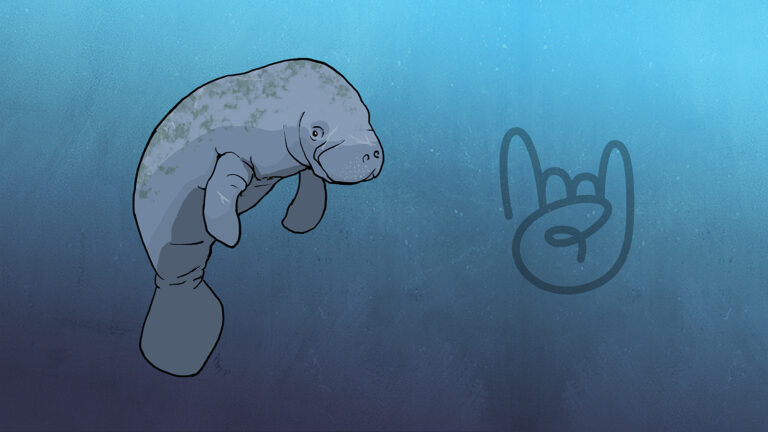 Event Tickets Plus 5.2