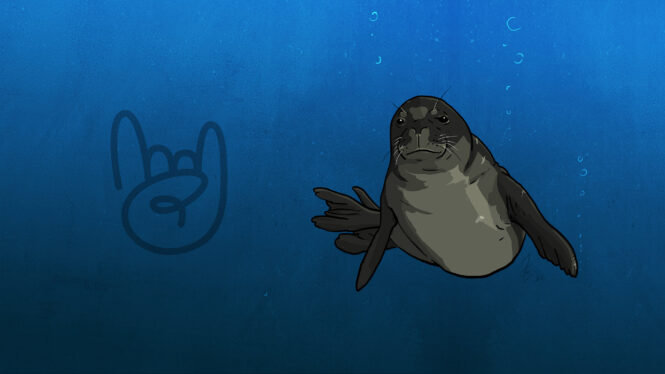 Monk Seal Release Mascot