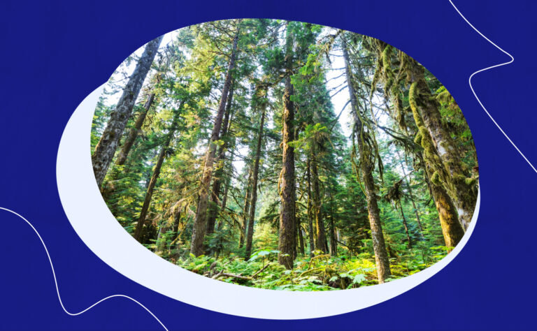 Feature Calendar: Washington Voices