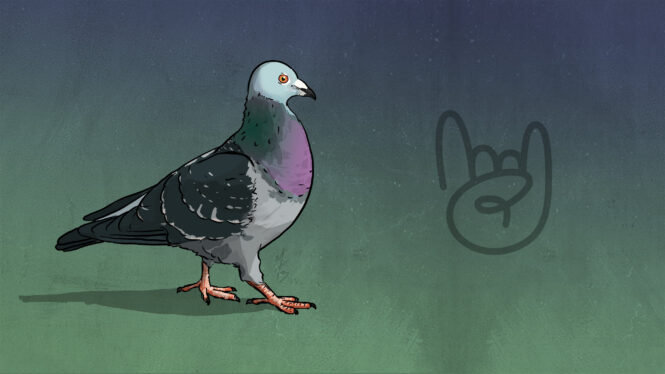 Release mascot: Homing Pigeon