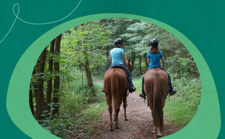 Featured Calendar: Summit Metro Parks