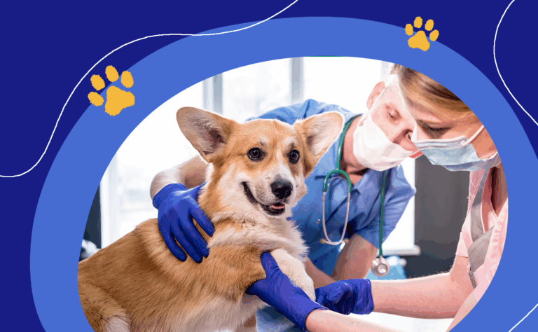 Featured Calendar: Connext